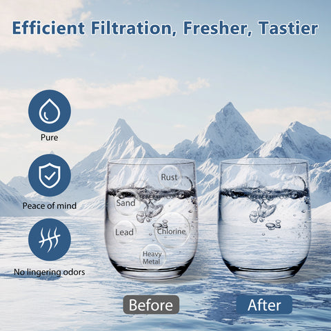 DESENRUIS HAF-QIN/EXP DA97-17376B Water Filter (DE030) delivers efficient filtration for fresher, tastier water: it removes rust, sand, lead, chlorine and heavy metals, leaving water pure with no lingering odors—so you can enjoy it with complete peace of mind (works at 33-100°F/30-100psi, 0.66gpm flow, 6-month/300-gallon life).